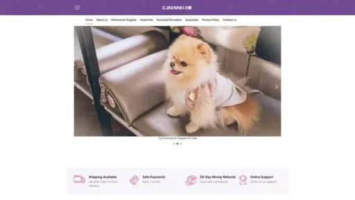 Screenshot of