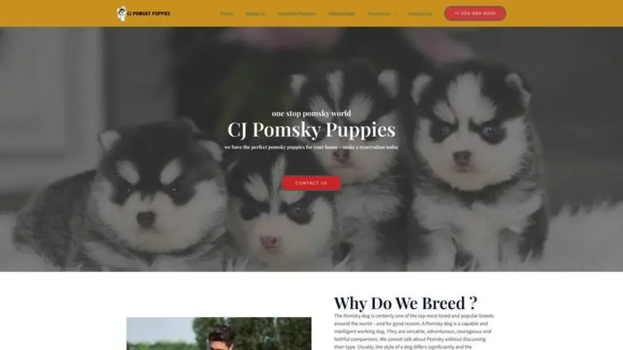Cjpomskypuppies