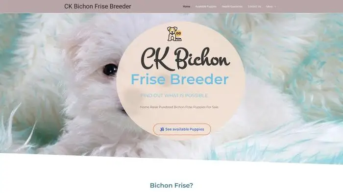 Screenshot of