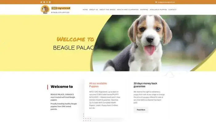 Screenshot of