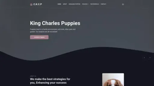 Screenshot of