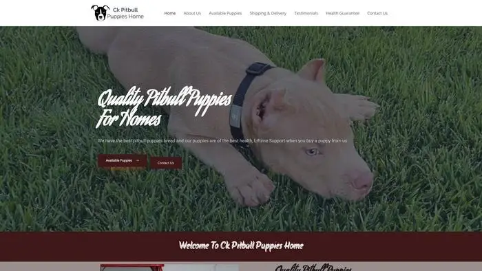 Screenshot of