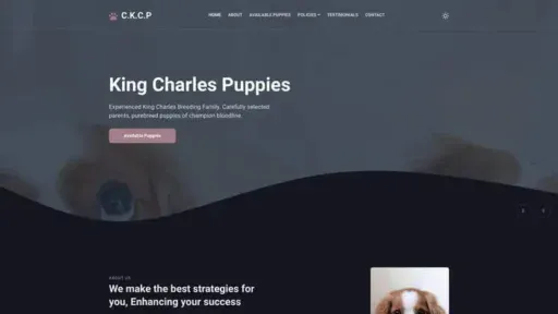 Screenshot of