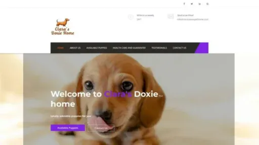 Screenshot of||
