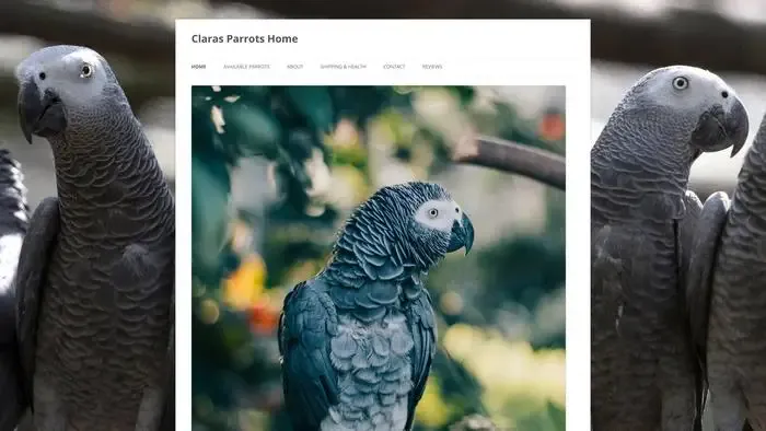 Screenshot of