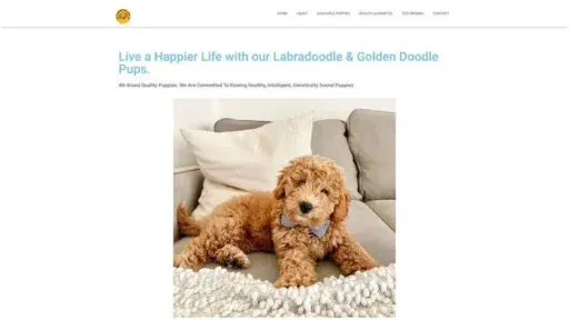 Screenshot of