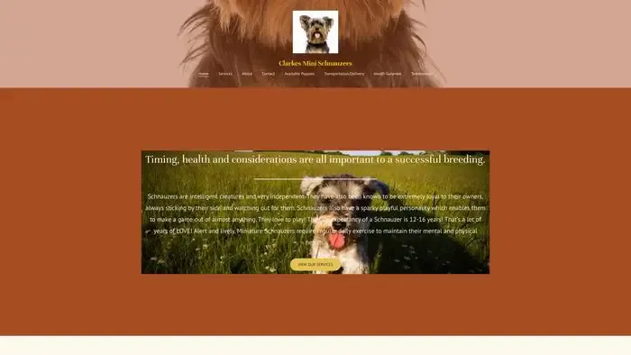 Screenshot of