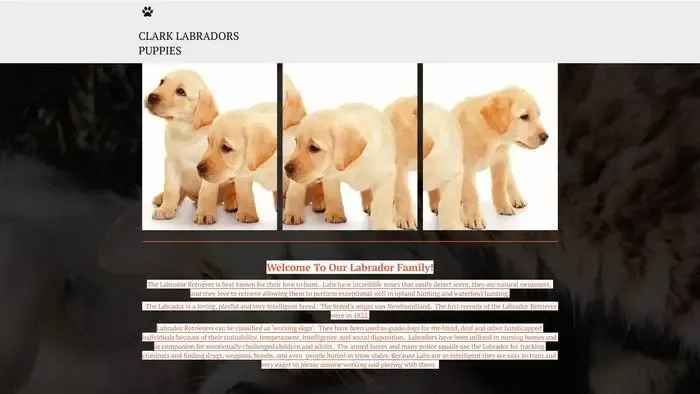 Screenshot of
