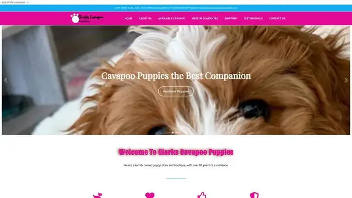 Screenshot of
