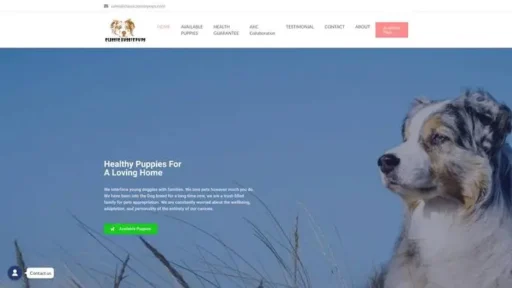 Screenshot of
