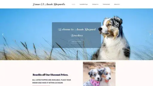 Screenshot of