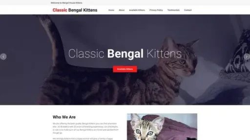 Screenshot of