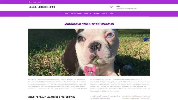 Screenshot of