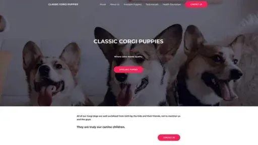 Screenshot of