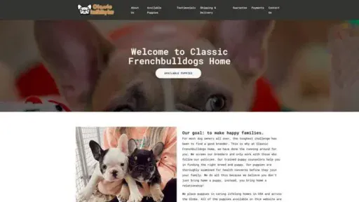 Screenshot of