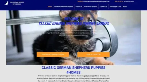 Screenshot of||