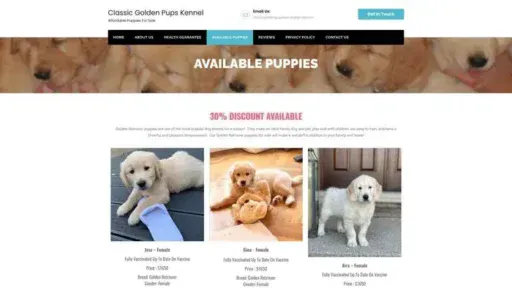 Screenshot of