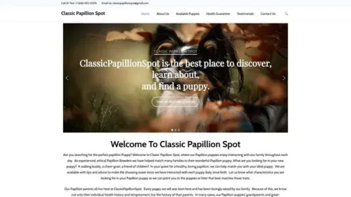 Screenshot of