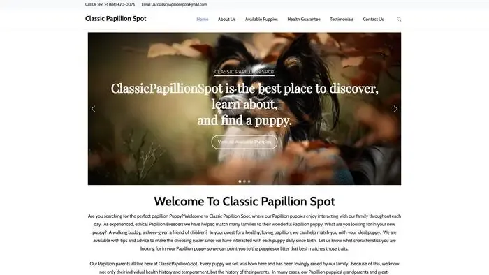 Screenshot of
