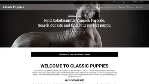 Screenshot of