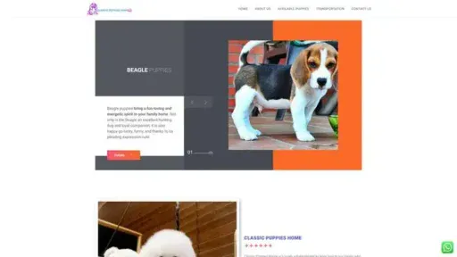Screenshot of