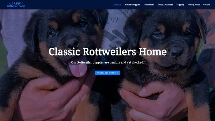 Screenshot of