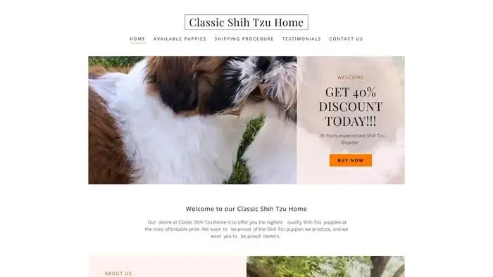 Screenshot of