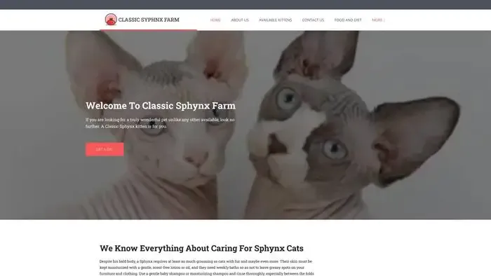 Screenshot of