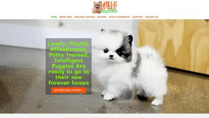Screenshot of