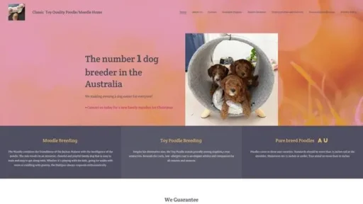 Screenshot of