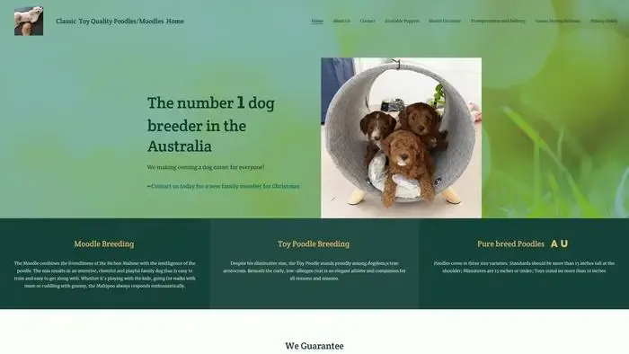 Screenshot of