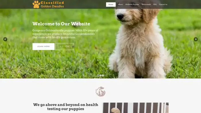 Screenshot of
