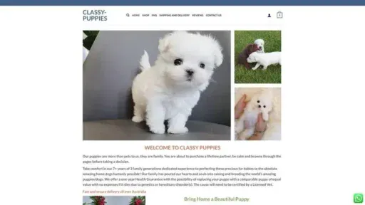 Screenshot of