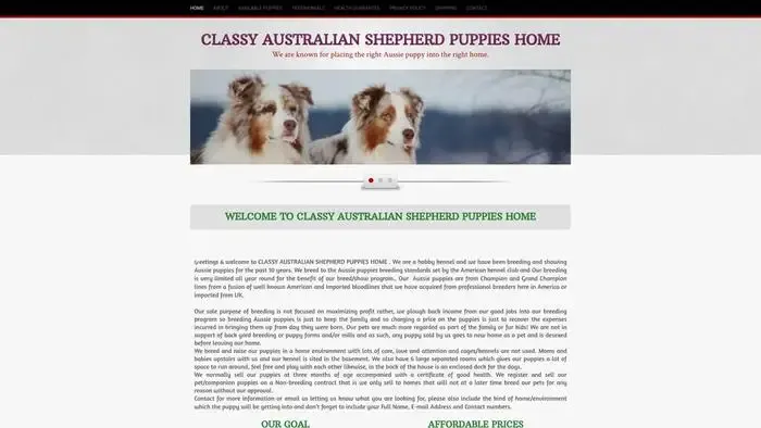 Screenshot of