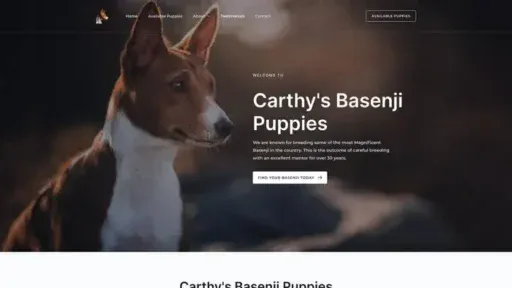 Screenshot of