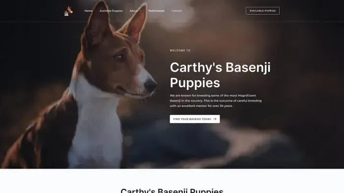 Screenshot of