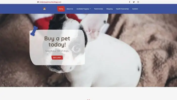 Screenshot of