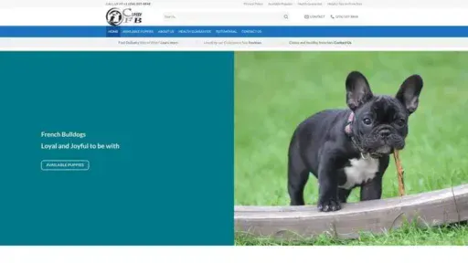 Screenshot of