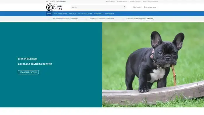 Screenshot of