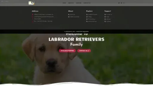Screenshot of