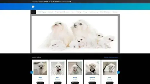 Screenshot of