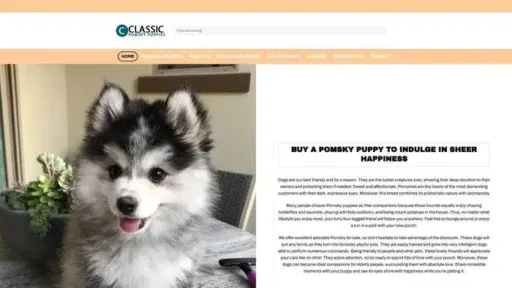 Screenshot of