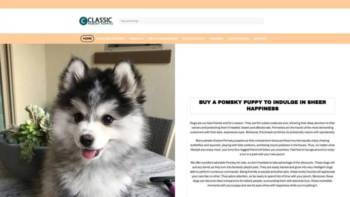Screenshot of