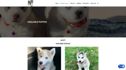 Screenshot of
