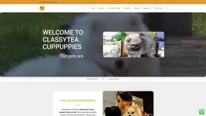 Screenshot of
