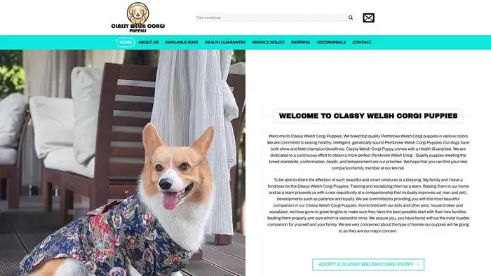 Screenshot of