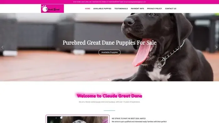 Screenshot of