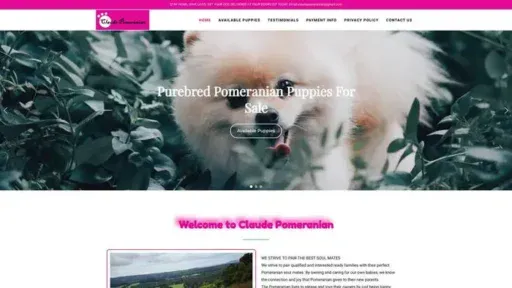 Screenshot of