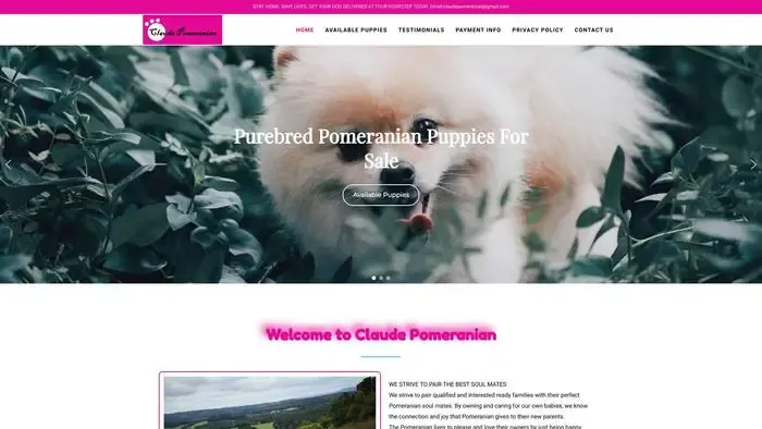 Screenshot of