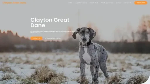 Screenshot of